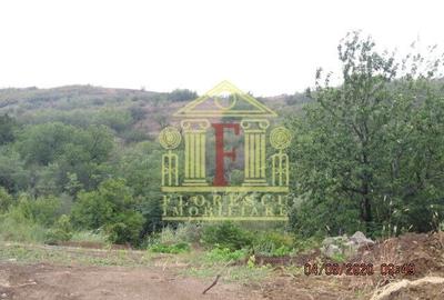 Teren intravilan  Tomesti! - 2