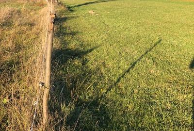 Teren Construcții intravilan de 2000 mp, în Sadu - 5