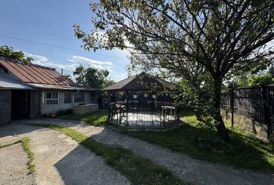 Casă cu 4 camere în Viișoara - 3