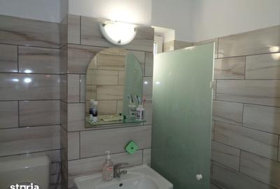 Apartament cu 2 camere în Șega - 8