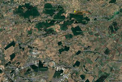 Casă individuală cu 5 camere cu Teren 1217 Mp în Lipia - 5