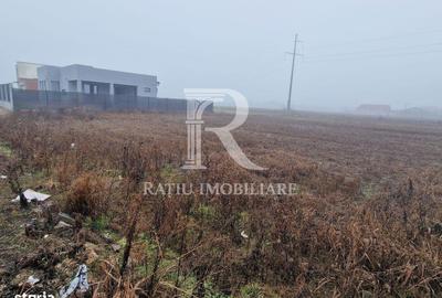 Spațiu comercial, în Sântandrei