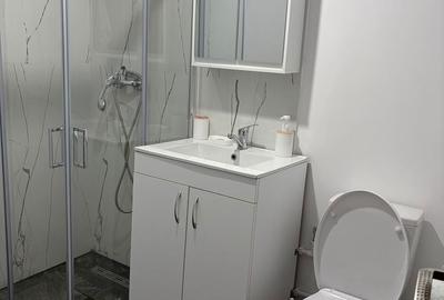 Garsonieră decomandată în Cornitoiu - 4