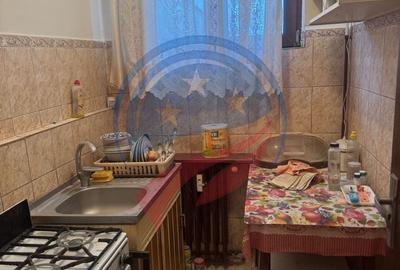 Apartament cu 2 camere decomandat în Valea Rosie - 3
