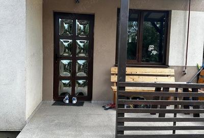 Casa deosebita Pantelimon - 2