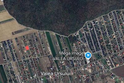 TEREN PENTRU CONSTRUCTIA CASEI, MIROSLAVA, VALEA URSULUI - 7