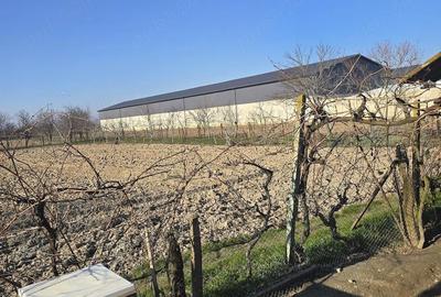 Casă cu 3 camere cu Teren 1800 Mp în Drăgoiești - 5
