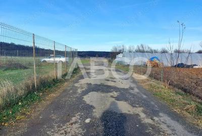 Teren intravilan 1687 mp pentru cabana zona de gradini Cisnadie - 3