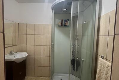 De vanzare – Casa spatioasa in Gura Raului, Sibiu - 10