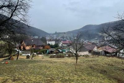 Casă cu 2 camere cu Teren 6000 Mp în Tăuții-Măgherăuș - 5