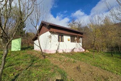 Casa de vacanta zona de padure, Trestioara Prahova - 7