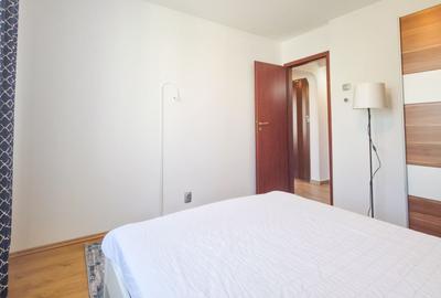 Apartament cu 3 camere decomandat, mobilat în Gorjului - 9