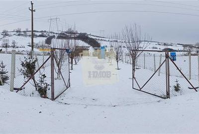 Teren extravilan de 700 mp, în Șura Mare - 8