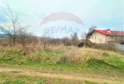 Teren agricol intravilan de 1522 mp, în Hemeiuș - 1