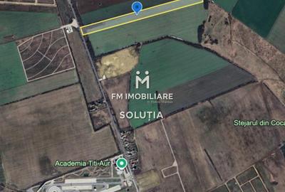 Teren de 40000 mp, în Crevedia - 2