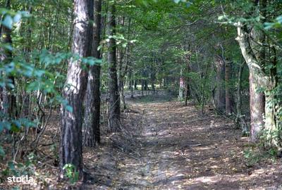 Spațiu comercial, în Vulcan - 5