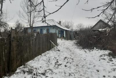 Vand casa batraneasca - 3