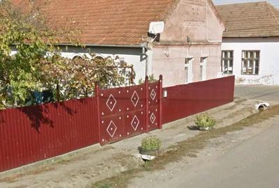 Casă cu Teren 2017 Mp în Sacoșu Mare - 2