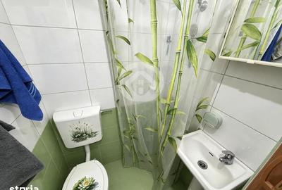 Garsonieră în Vasile Aaron