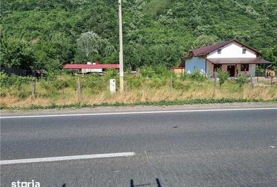 Teren de 3500 mp, în Mehadia - 2