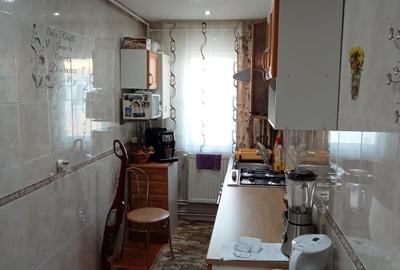Apartament cu 2 camere nedecomandat în Malin - 3