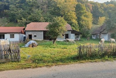 Casă cu 4 camere cu Teren 7000 Mp în Almașu Mare - 9