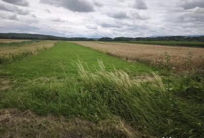 Teren în Gălănești