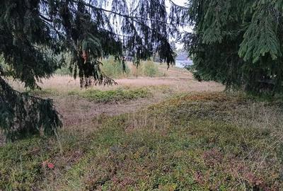 Teren de 3300 mp, în Râșca