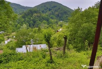 Teren de 2700 mp, în Telega - 8