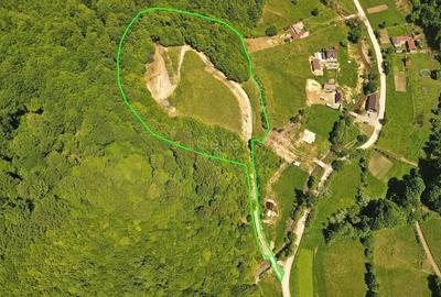 Teren Construcții extravilan de 16000 mp, în Poiana Mărului - 2