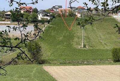 Teren de 3000 mp, în Ortelec