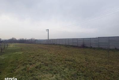 Teren de 2500 mp, în Șimnicu de Sus - 3