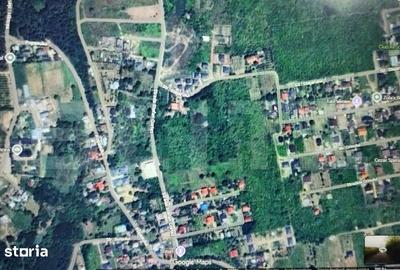Teren de 4900 mp, în Ciurea