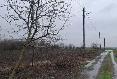 Teren de 1500 mp, în Fundeni - 4
