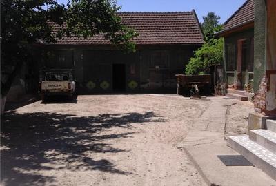 Casă cu 8 camere în Belinț - 1