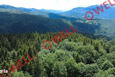 Teren de 23000 mp, în Vama Buzăului - 9
