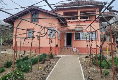 Casă cu 3 camere cu Teren 4300 Mp în Ionești