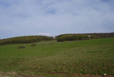 Teren de 2200 mp, în Dobârlău - 2