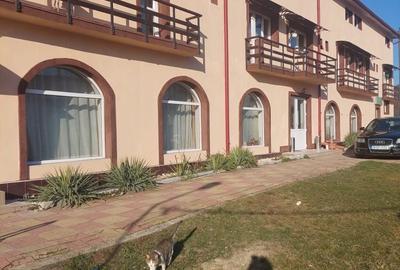 Casă cu 4 camere în Malu cu Flori - 1
