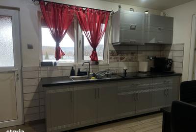 Casă cu 10 camere cu Teren 1000 Mp în Roșia - 10