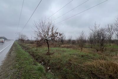 Teren Construcții extravilan de 8874 mp, în Tărtășești - 6