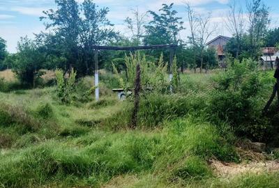 Casă individuală cu 2 camere cu Teren 550 Mp în Lipia - 5