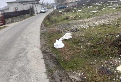 Teren de 1200 mp, în Ghimpați