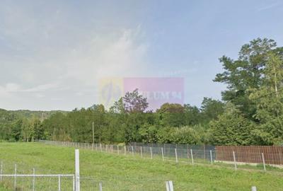 Casă cu 3 camere în Central - 5