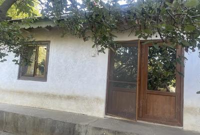 Casă cu 2 camere cu Teren 5500 Mp în Pogana - 5
