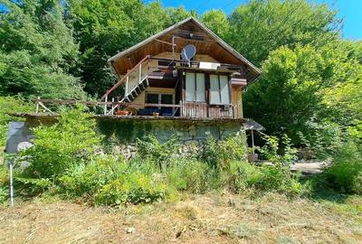 Casă individuală cu 7 camere cu Teren 1660 Mp în Pietroasa - 29