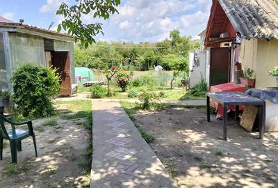 Casă cu Teren 1250 Mp în Cămineasca - 2