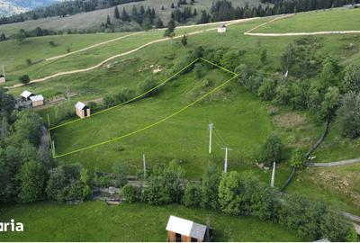 Teren de 3000 mp, în Central