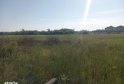 Teren de 1200 mp, în Frumușeni - 2