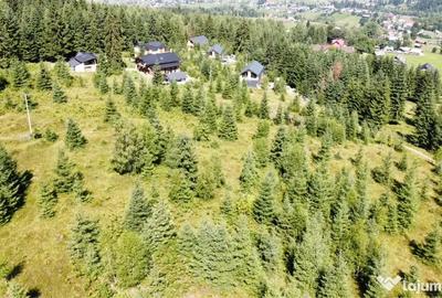 Teren de 4000 mp, în Dorna-Arini - 3